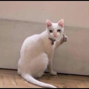 Meet your Posher, Katherine